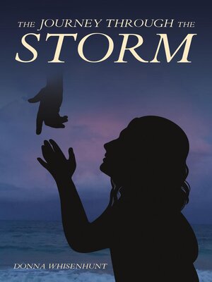 cover image of The Journey Through the Storm